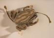 A frog-shaped needlecase from England, early 17th century.