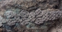 Braiding that was applied to textiles. From one of the graves excavated at Birka, Sweden, 10th century AD.