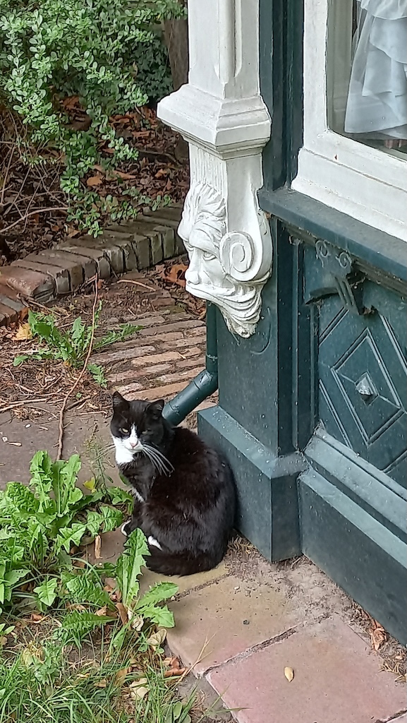 A special visitor at Boerhaave 6.