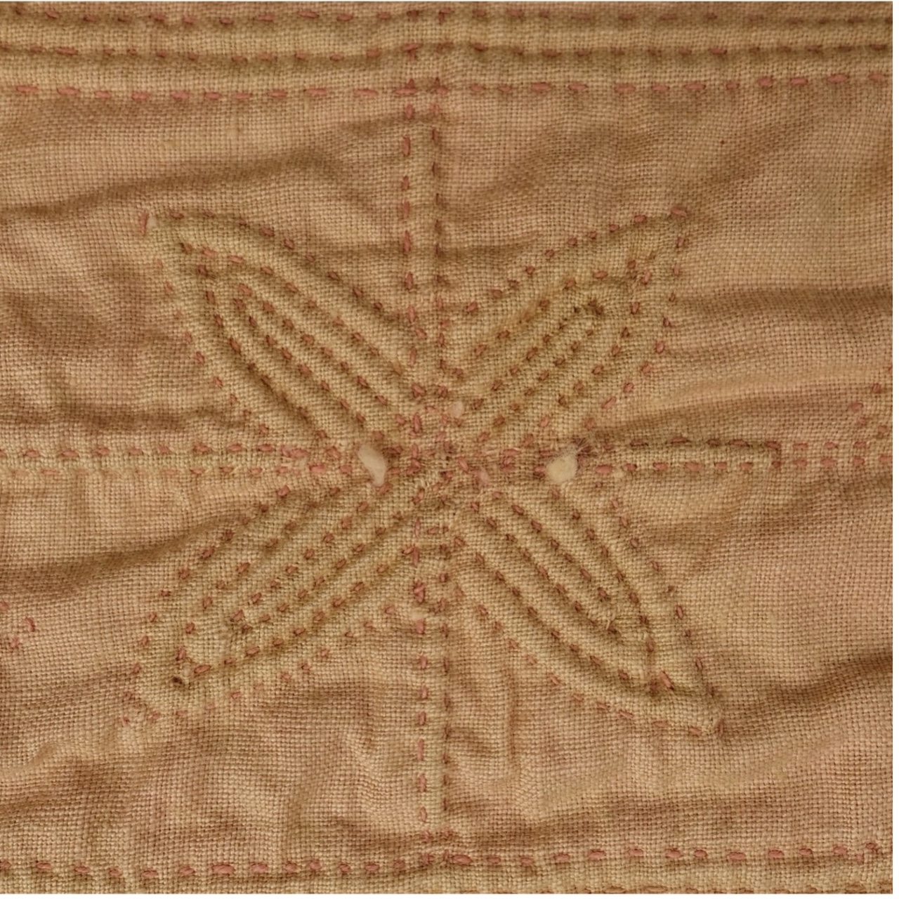 Dinolite microscope detail of the kaftan, TRC 2026.0841.