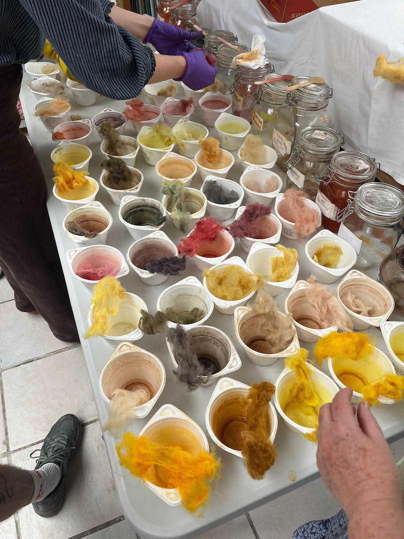 Testing natural dyes. Photograph by author.